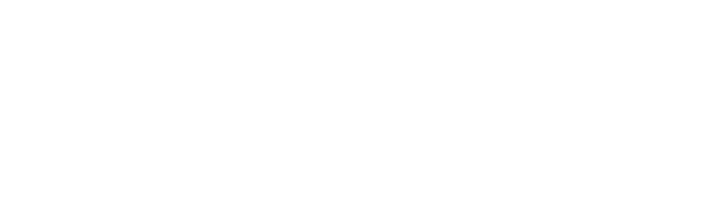 Insight Việt