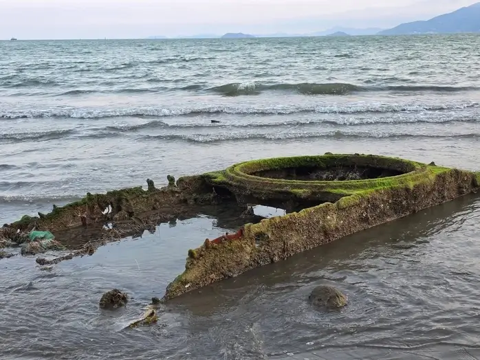  Cận cảnh “vật lạ” trồi lên trên bờ biển Quy Nhơn