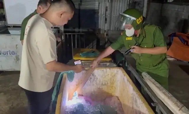  Phát hiện hơn nửa tấn thịt heo bốc mùi ở lò mổ trái phép